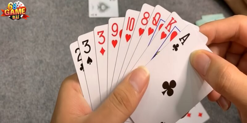Tính toán kỹ trước khi đánh bài trong phỏm 9 cây